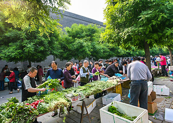 11 Days Beijing - Xi'an - Chongqing - Yangtze River Cruise - Yichang - Shanghai